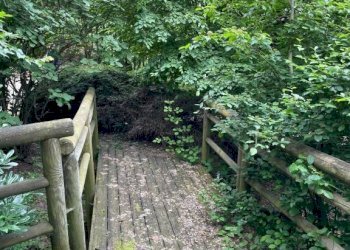 Villa Imola - foto 44