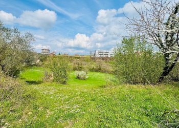 Foto 8 - Casa indipendente VIA APPIA NUOVA, Calvi - foto 8