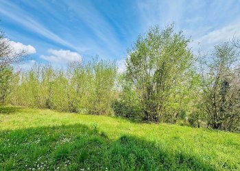 Foto 10 - Casa indipendente VIA APPIA NUOVA, Calvi - foto 10