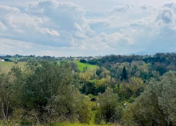 Foto 11 - Casa indipendente VIA APPIA NUOVA, Calvi - foto 11