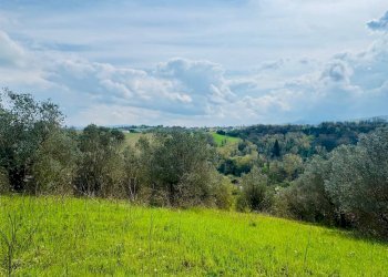 Foto 12 - Casa indipendente VIA APPIA NUOVA, Calvi - foto 12