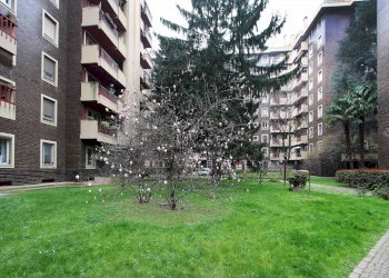 Foto 7 - Trilocale Via Bergognone, Milano - foto 7