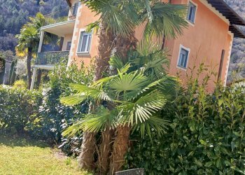 Foto 11 - Independent house Via Giustino Allioli
12, Cannobio - photo 11