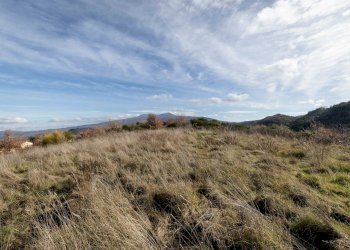 Foto 8 - Rustic Via Amiata, Cinigiano - photo 8