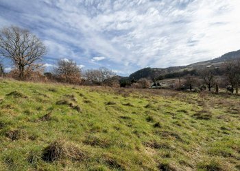 Foto 17 - Rustic Via Amiata, Cinigiano - photo 17