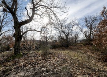 Foto 22 - Rustic Via Amiata, Cinigiano - photo 22