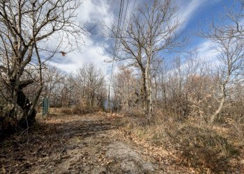 Foto 23 - Rustic Via Amiata, Cinigiano - photo 23