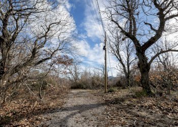 Foto 24 - Rustic Via Amiata, Cinigiano - photo 24