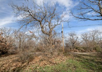 Foto 25 - Rustic Via Amiata, Cinigiano - photo 25