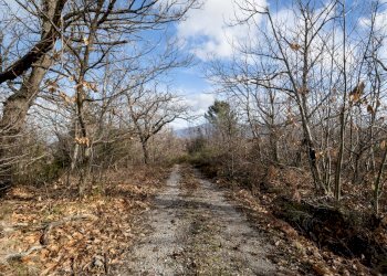 Foto 26 - Rustic Via Amiata, Cinigiano - photo 26