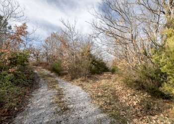 Foto 27 - Rustic Via Amiata, Cinigiano - photo 27