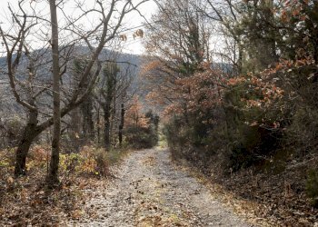 Foto 29 - Rustic Via Amiata, Cinigiano - photo 29