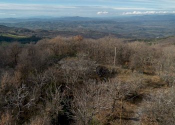 Foto 43 - Rustic Via Amiata, Cinigiano - photo 43