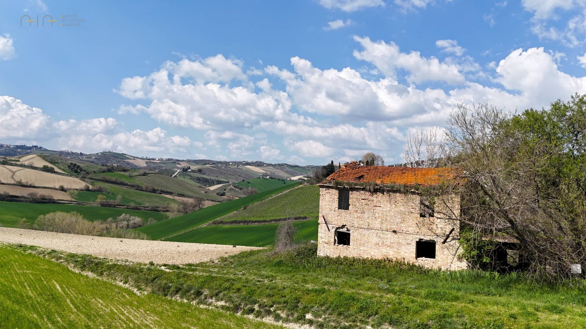 Foto 3 - Rustic C.da Tosciano
 
13, Ripatransone - photo 3