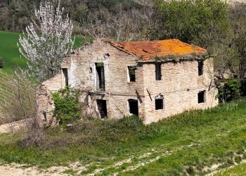 Foto 2 - Rustic C.da Tosciano
 
13, Ripatransone - photo 2