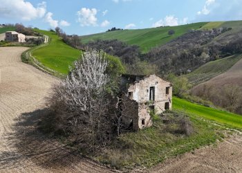 Foto 1 - Rustic C.da Tosciano
 
13, Ripatransone - photo 1