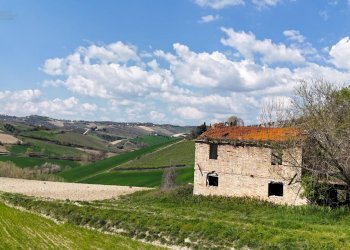 Foto 3 - Rustic C.da Tosciano
 
13, Ripatransone - photo 3