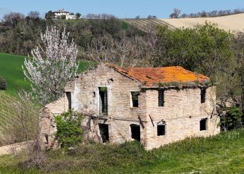 Foto 4 - Rustic C.da Tosciano
 
13, Ripatransone - photo 4