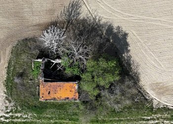 Foto 5 - Rustic C.da Tosciano
 
13, Ripatransone - photo 5