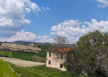 Foto 7 - Rustic C.da Tosciano
 
13, Ripatransone - photo 7