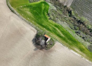 Foto 8 - Rustic C.da Tosciano
 
13, Ripatransone - photo 8