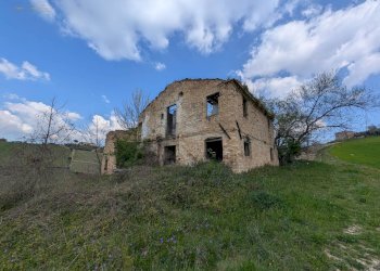 Foto 9 - Rustic C.da Tosciano
 
13, Ripatransone - photo 9