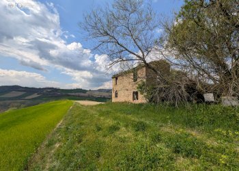 Foto 14 - Rustic C.da Tosciano
 
13, Ripatransone - photo 14