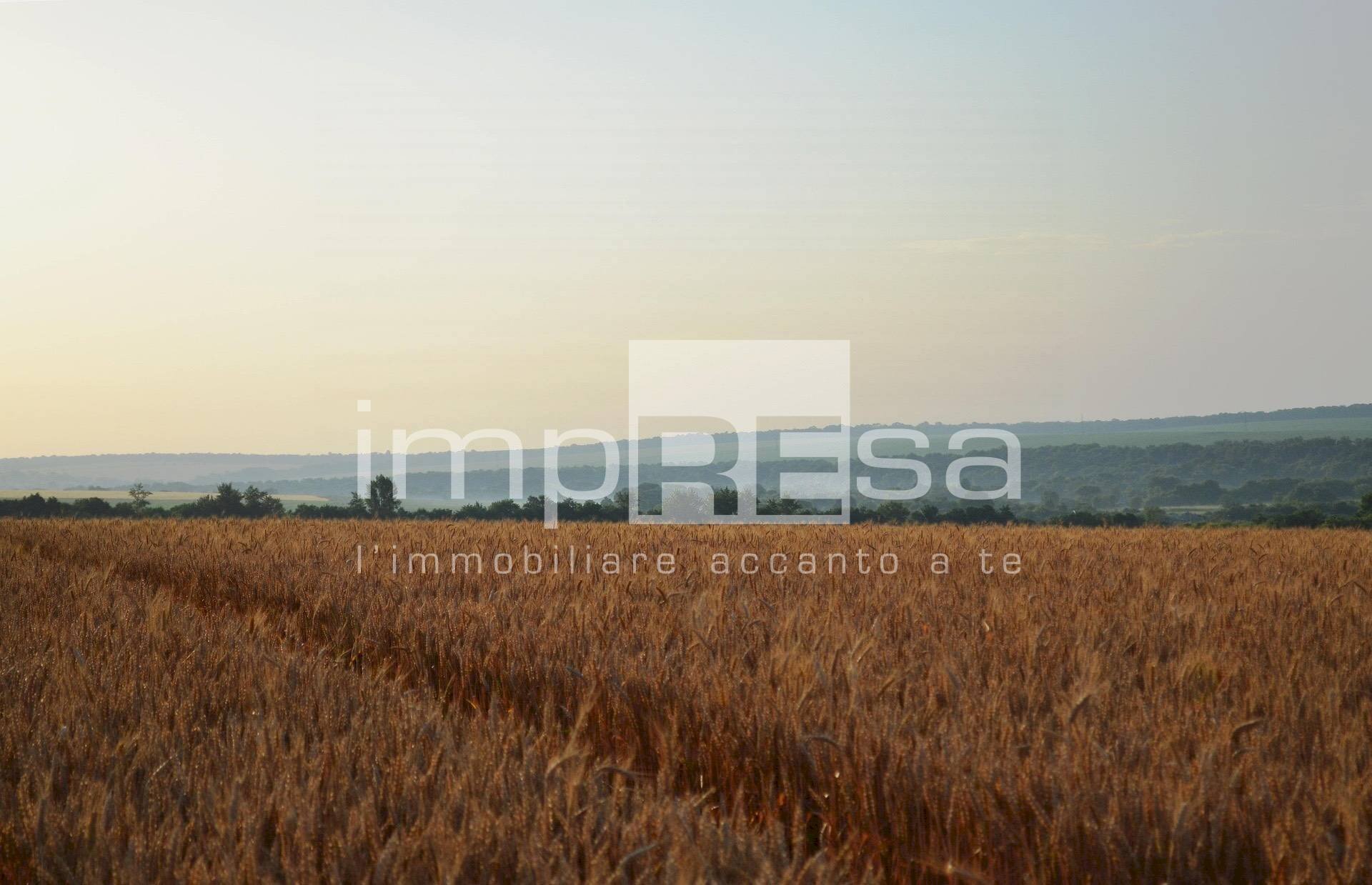 Foto 1 - Terreno edificabile Via Della Favorita, Fossalta di Piave - foto 1