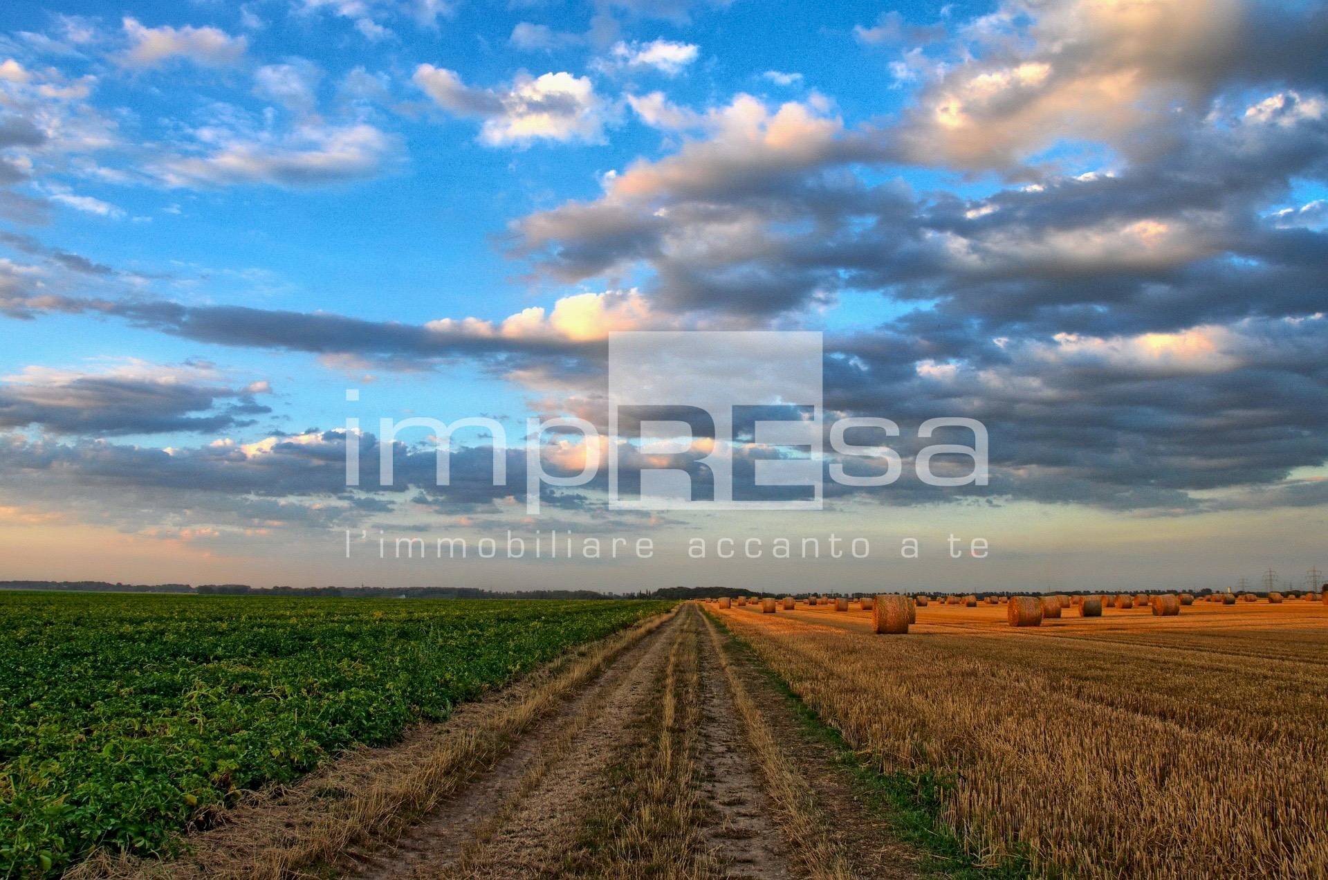 Foto 2 - Terreno edificabile Via Della Favorita, Fossalta di Piave - foto 2