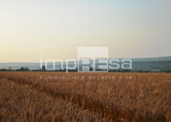 Foto 1 - Terreno edificabile Via Della Favorita, Fossalta di Piave - foto 1