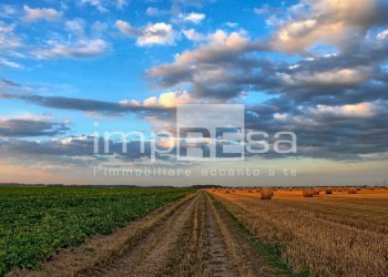 Foto 2 - Terreno edificabile Via Della Favorita, Fossalta di Piave - foto 2