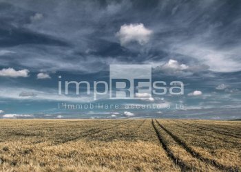 Foto 6 - Terreno edificabile Via Della Favorita, Fossalta di Piave - foto 6