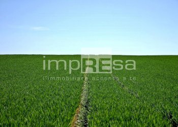 Foto 10 - Terreno edificabile Via Della Favorita, Fossalta di Piave - foto 10