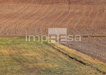 Foto 11 - Terreno edificabile Via Della Favorita, Fossalta di Piave - foto 11