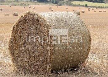 Foto 12 - Terreno edificabile Via Della Favorita, Fossalta di Piave - foto 12