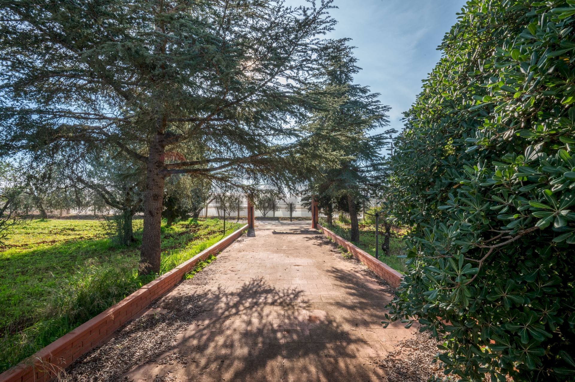 Giardino - Villa c.da piano stella, Caltagirone - foto 1