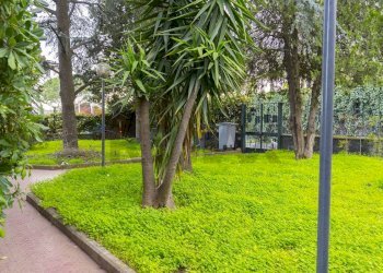 Giardino - Casa semi indipendente Via Etnea
 
570, Tremestieri Etneo - foto 2
