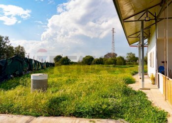 Giardino - Villa Contrada Terre Bianche/Strada Statale 192 (KM 79)
 
snc, Misterbianco - foto 5