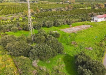 Giardino - Villa Contrada Terre Bianche/Strada Statale 192 (KM 79)
 
snc, Misterbianco - foto 15