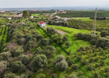 Giardino - Villa Contrada Terre Bianche/Strada Statale 192 (KM 79)
 
snc, Misterbianco - foto 17
