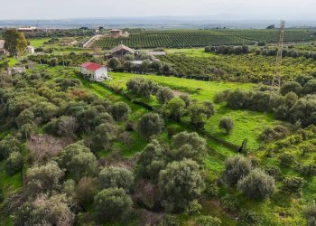 Giardino - Villa Contrada Terre Bianche/Strada Statale 192 (KM 79)
 
snc, Misterbianco - foto 18