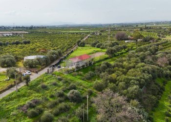 Vista delle montagne - Villa Contrada Terre Bianche/Strada Statale 192 (KM 79)
 
snc, Misterbianco - foto 19