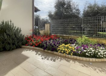 esterno - Quadrilocale via Ragazzi del '99
 
26/D, Seravezza - foto 14