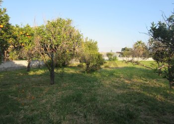 Giardino - Agricultural land STRADA PROVINCIALE 3, Augusta - photo 10