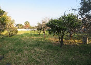 Giardino - Agricultural land STRADA PROVINCIALE 3, Augusta - photo 11