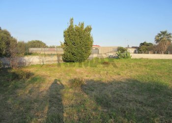 Giardino - Agricultural land STRADA PROVINCIALE 3, Augusta - photo 12