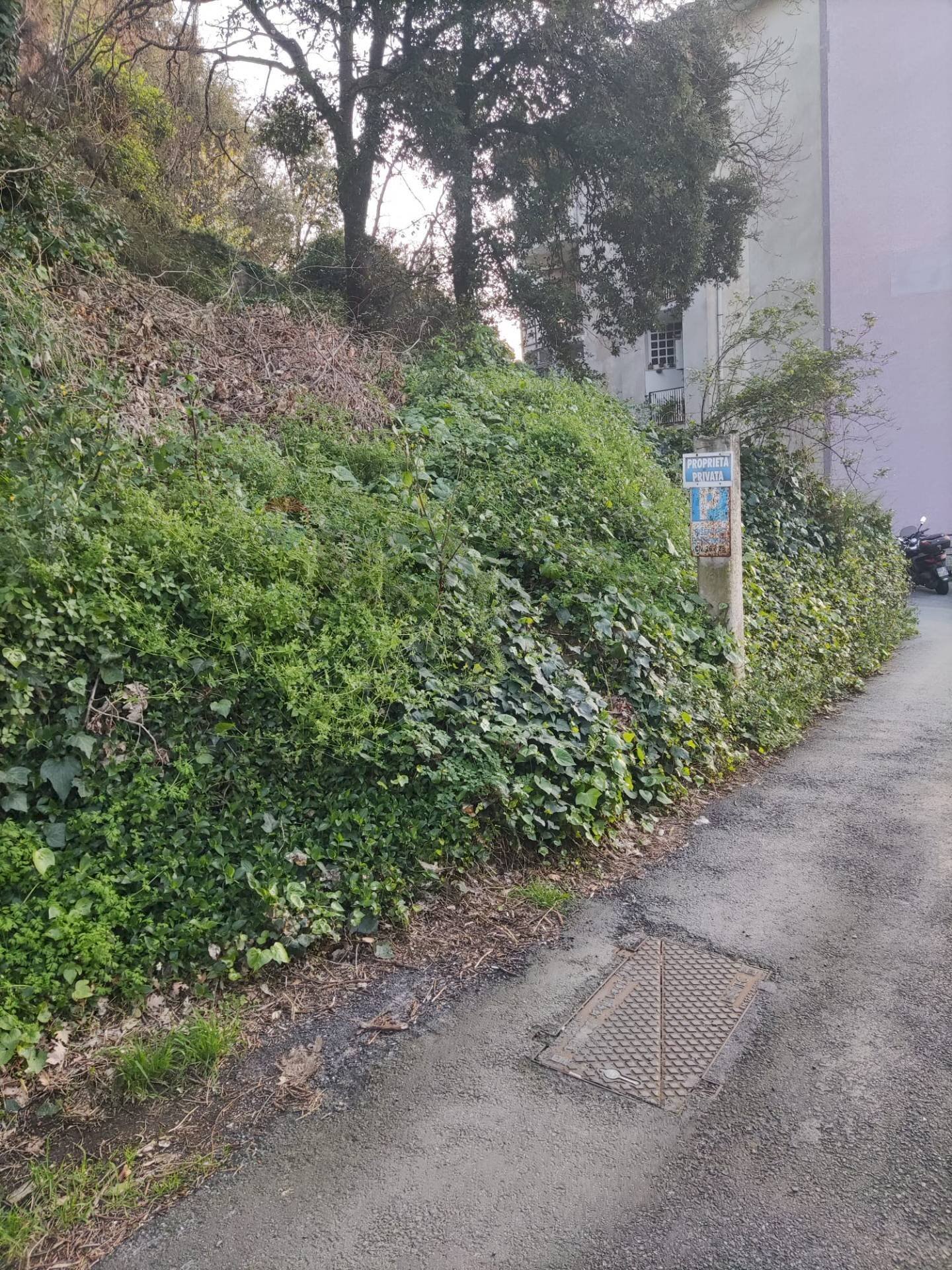 Giardino - Monolocale Savona - foto 3