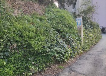 Giardino - Monolocale Savona - foto 3