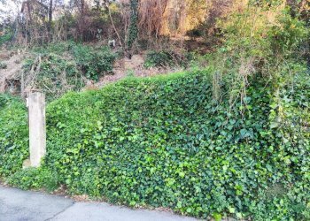 Giardino - Monolocale Savona - foto 4