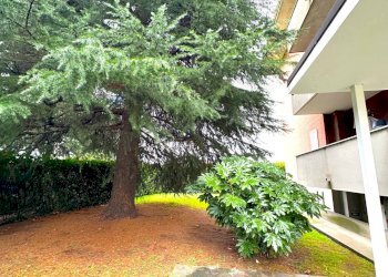 Giardino - Quadrilocale VIA SANT'AMBROGIO
 
19/A, Romentino - foto 12